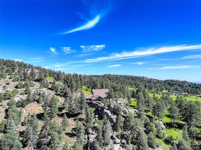 5237 Bear Mountain Dr, Evergreen, CO 80439 - photo 6