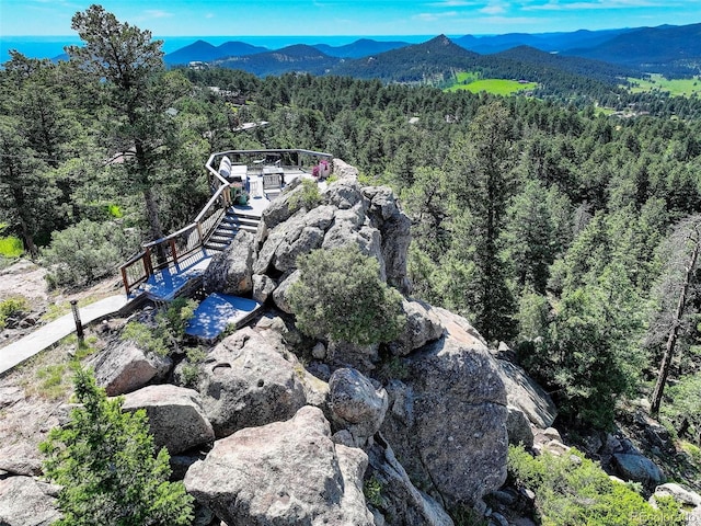 5237 Bear Mountain Dr, Evergreen, CO 80439 - photo 7