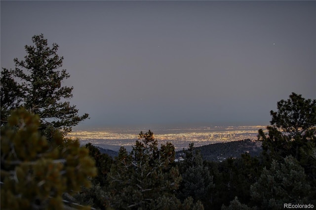 5237 Bear Mountain Dr, Evergreen, CO 80439 - photo 16