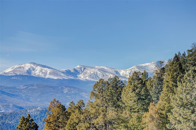5237 Bear Mountain Dr, Evergreen, CO 80439 - photo 18