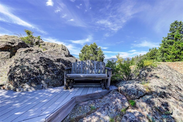 5237 Bear Mountain Dr, Evergreen, CO 80439 - photo 46