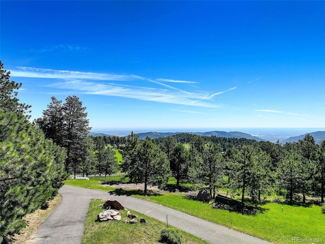 5237 Bear Mountain Dr, Evergreen, CO 80439 - photo 47