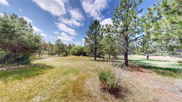 7641 Kelty Trl, Franktown, CO 80116 - photo 42