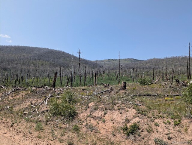 1979 Hilda Ln, Fort Garland, CO 81133 - photo 4