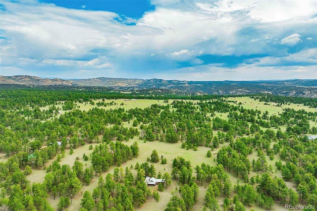 drone / aerial view with a mountain view