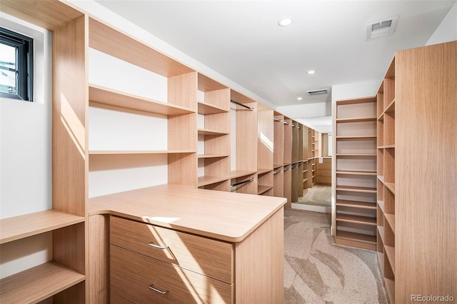 walk in closet with light carpet