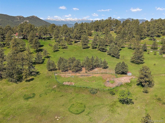 3800 Lakota Rd, Indian Hills, CO 80454 - photo 20