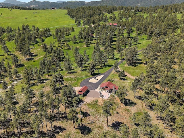3800 Lakota Rd, Indian Hills, CO 80454 - photo 21