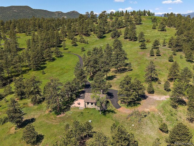 3800 Lakota Rd, Indian Hills, CO 80454 - photo 22