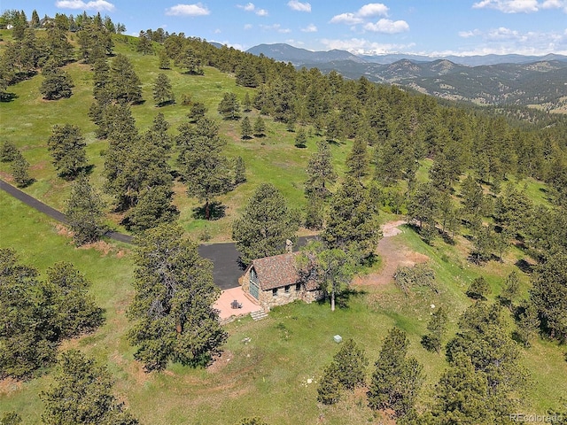 3800 Lakota Rd, Indian Hills, CO 80454 - photo 23