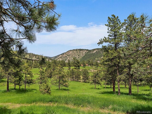 3800 Lakota Rd, Indian Hills, CO 80454 - photo 43