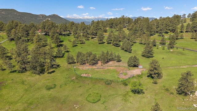 3800 Lakota Rd, Indian Hills, CO 80454 - photo 44