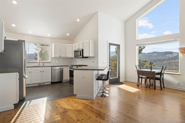 kitchen with dark hardwood / wood-style flooring, white cabinets, stainless steel appliances, a mountain view, and a breakfast bar area