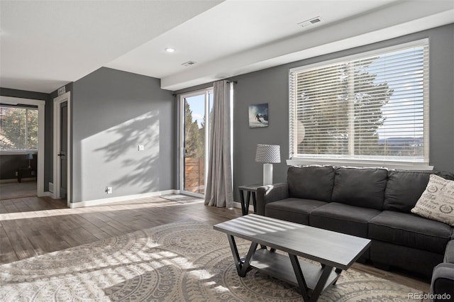 living room with a healthy amount of sunlight and wood-type flooring