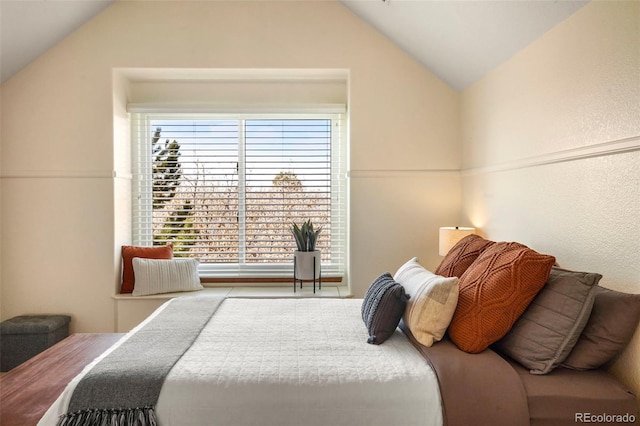 bedroom featuring lofted ceiling