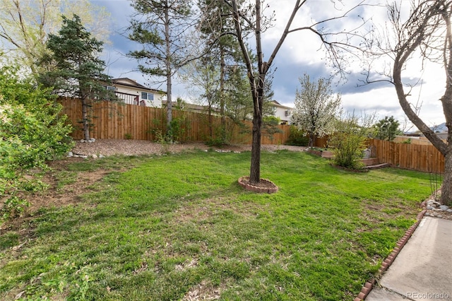 view of yard featuring a fenced backyard
