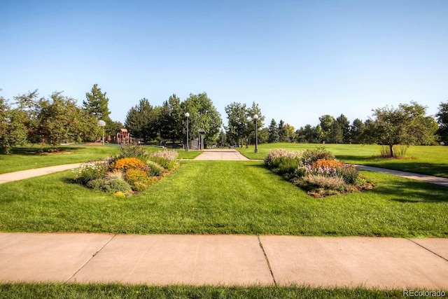 view of community with a lawn