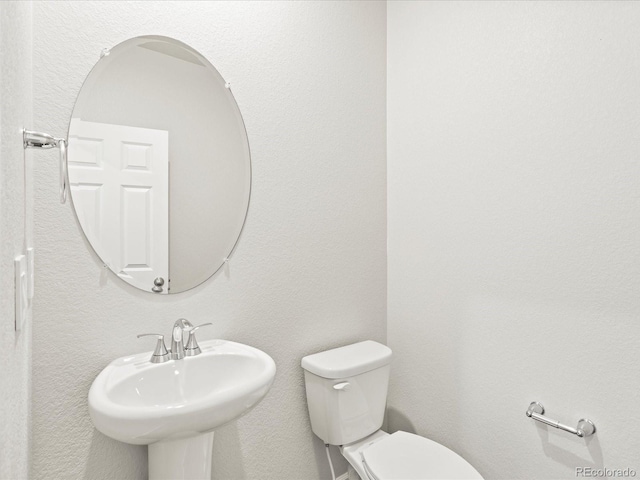 4703 Rabbitbrush St, Johnstown, CO 80534 - photo 7