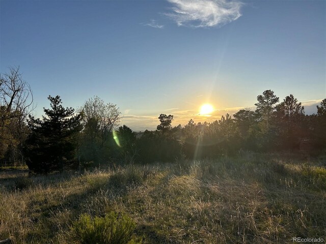 10426 Tomahawk Rd, Parker, CO 80138 - photo 14