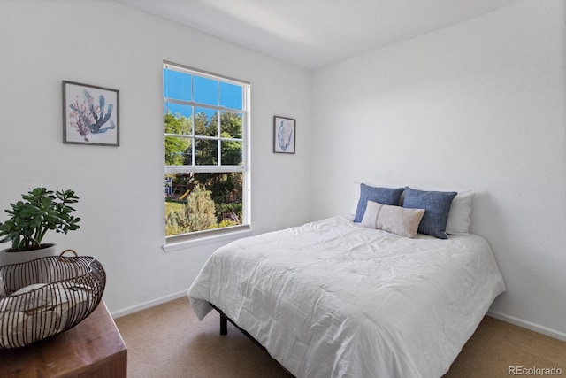 4515 W 107th Cir, Westminster, CO 80031 - carpeted bedroom with baseboards