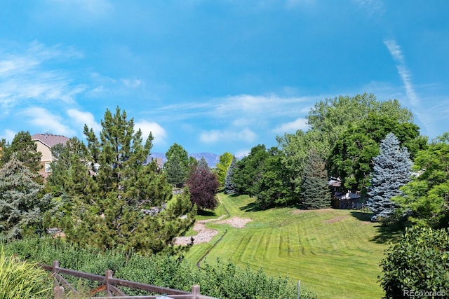 4515 W 107th Cir, Westminster, CO 80031 - view of yard