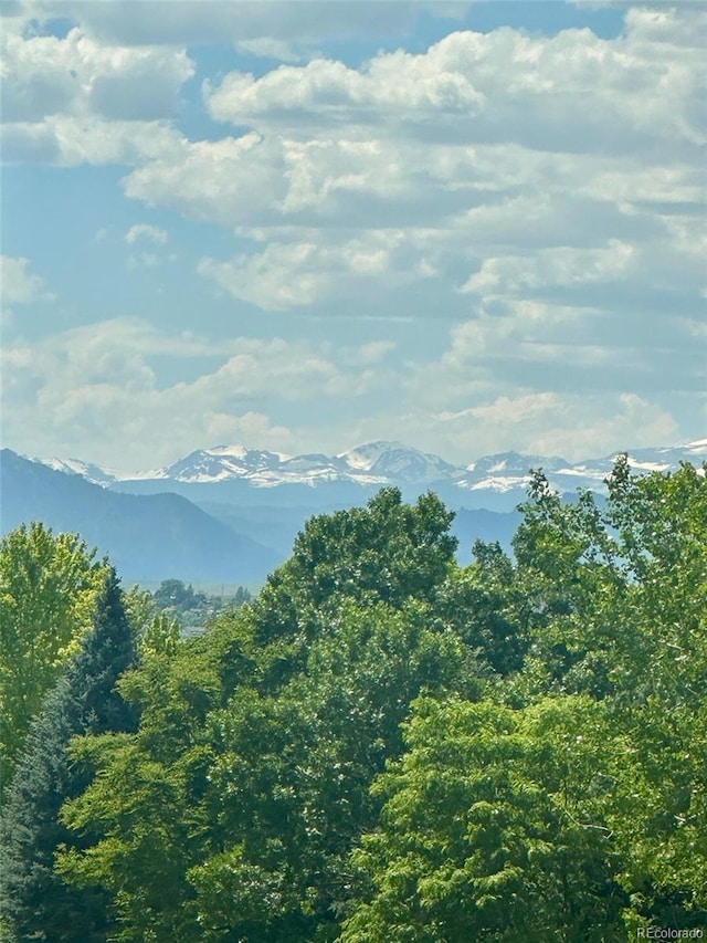 4515 W 107th Cir, Westminster, CO 80031 - view of mountain background