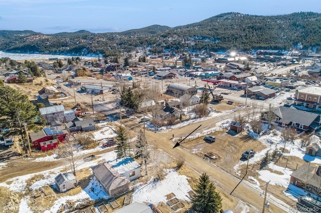 birds eye view of property featuring a mountain view