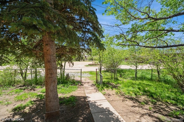 103 W 3rd St, Nederland, CO 80466 - photo 16