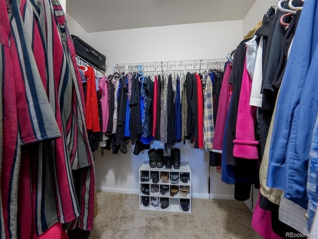 5369 Creek Way, Parker, CO 80134 - walk in closet featuring carpet flooring