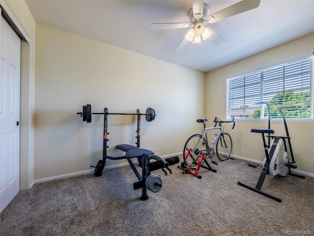 5369 Creek Way, Parker, CO 80134 - workout room featuring carpet floors, baseboards, and ceiling fan