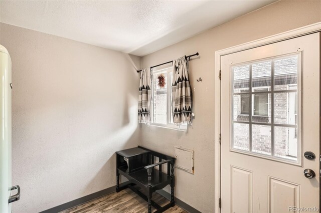 entryway featuring baseboards, wood finished floors, and healthy amount of natural light