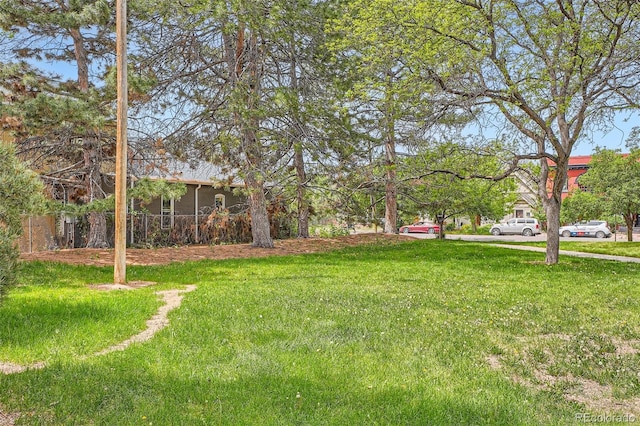 view of grassy yard