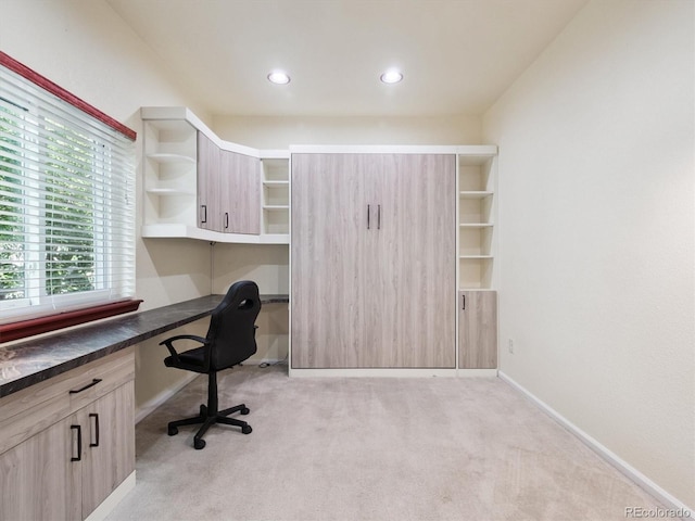 9816 S Holland St, Littleton, CO 80127 - photo 11