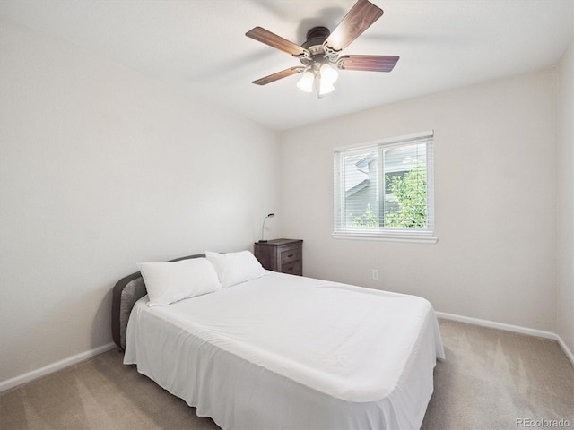 9816 S Holland St, Littleton, CO 80127 - photo 17