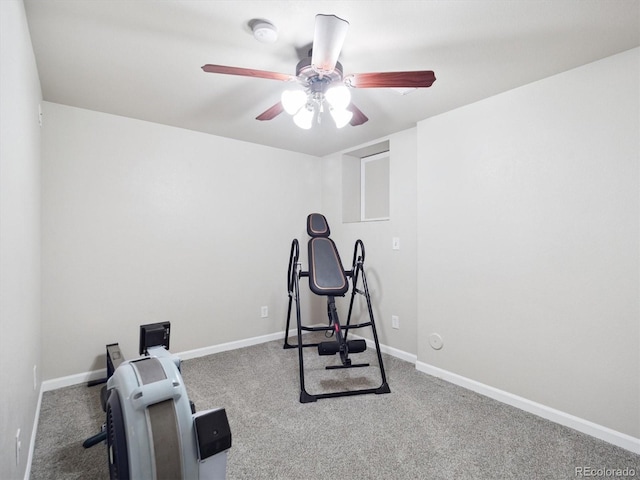 9816 S Holland St, Littleton, CO 80127 - photo 24
