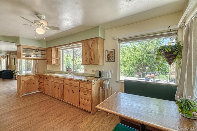 50 County Road 12, Cotopaxi, CO 81223 - photo 29