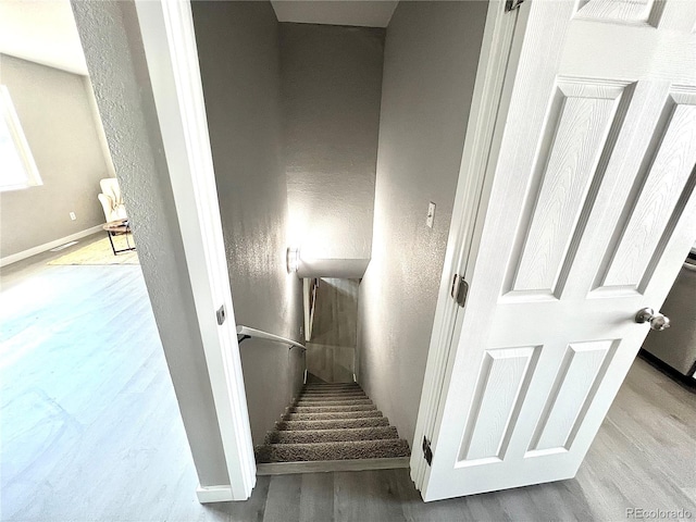 staircase featuring wood-type flooring