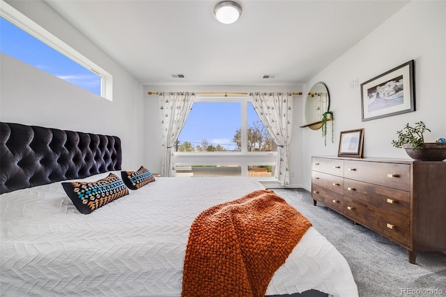 4390 Osage St, Denver, CO 80211 - bedroom with light colored carpet, visible vents, and multiple windows