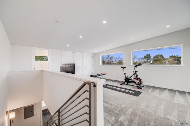 4390 Osage St, Denver, CO 80211 - workout area featuring carpet, baseboards, and a healthy amount of sunlight