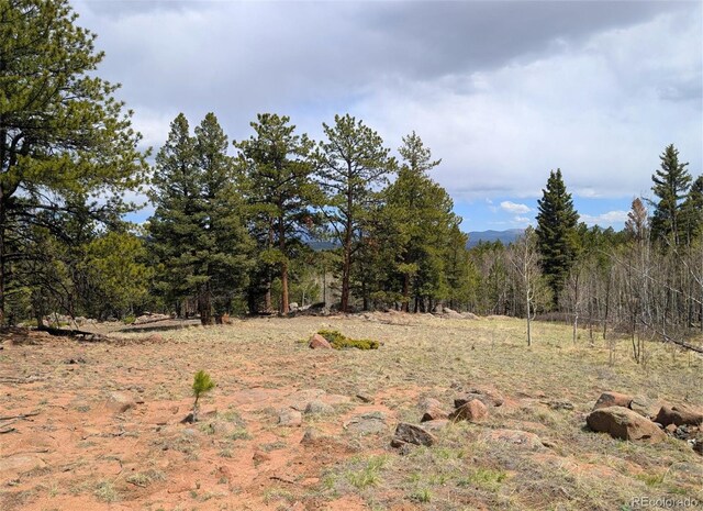 43 Spanish Bit Dr, Lake George, CO 80827 - photo 1