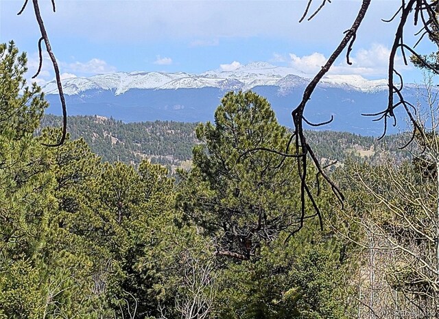 43 Spanish Bit Dr, Lake George, CO 80827 - photo 2