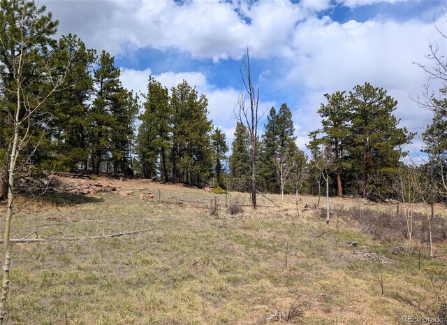 43 Spanish Bit Dr, Lake George, CO 80827 - photo 3