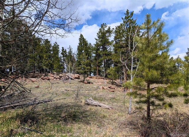 43 Spanish Bit Dr, Lake George, CO 80827 - photo 4