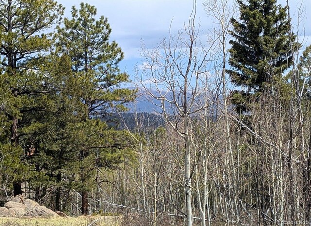 43 Spanish Bit Dr, Lake George, CO 80827 - photo 5