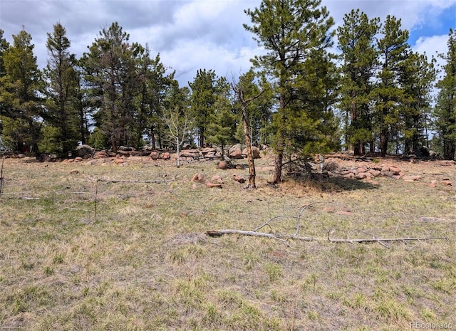 43 Spanish Bit Dr, Lake George, CO 80827 - photo 6
