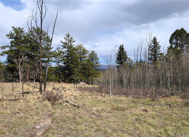 43 Spanish Bit Dr, Lake George, CO 80827 - photo 7