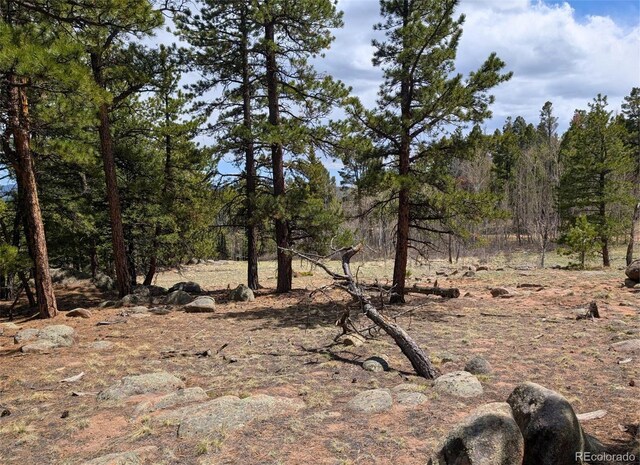 43 Spanish Bit Dr, Lake George, CO 80827 - photo 8