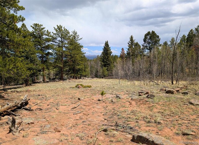 43 Spanish Bit Dr, Lake George, CO 80827 - photo 9