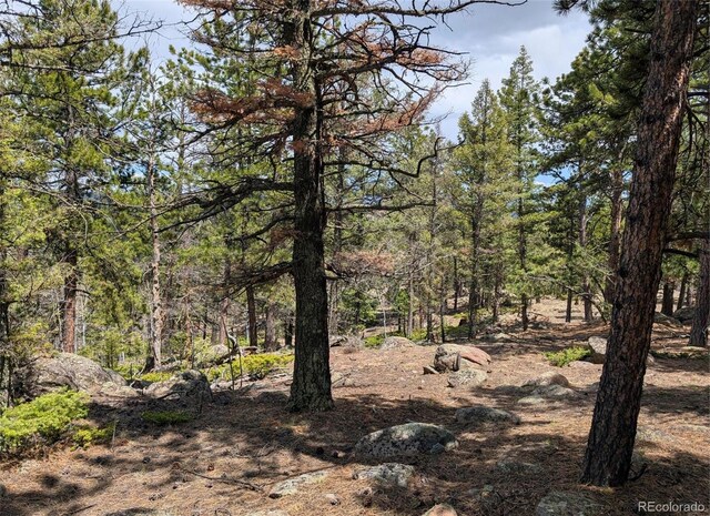 43 Spanish Bit Dr, Lake George, CO 80827 - photo 10
