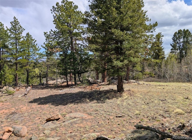 43 Spanish Bit Dr, Lake George, CO 80827 - photo 11